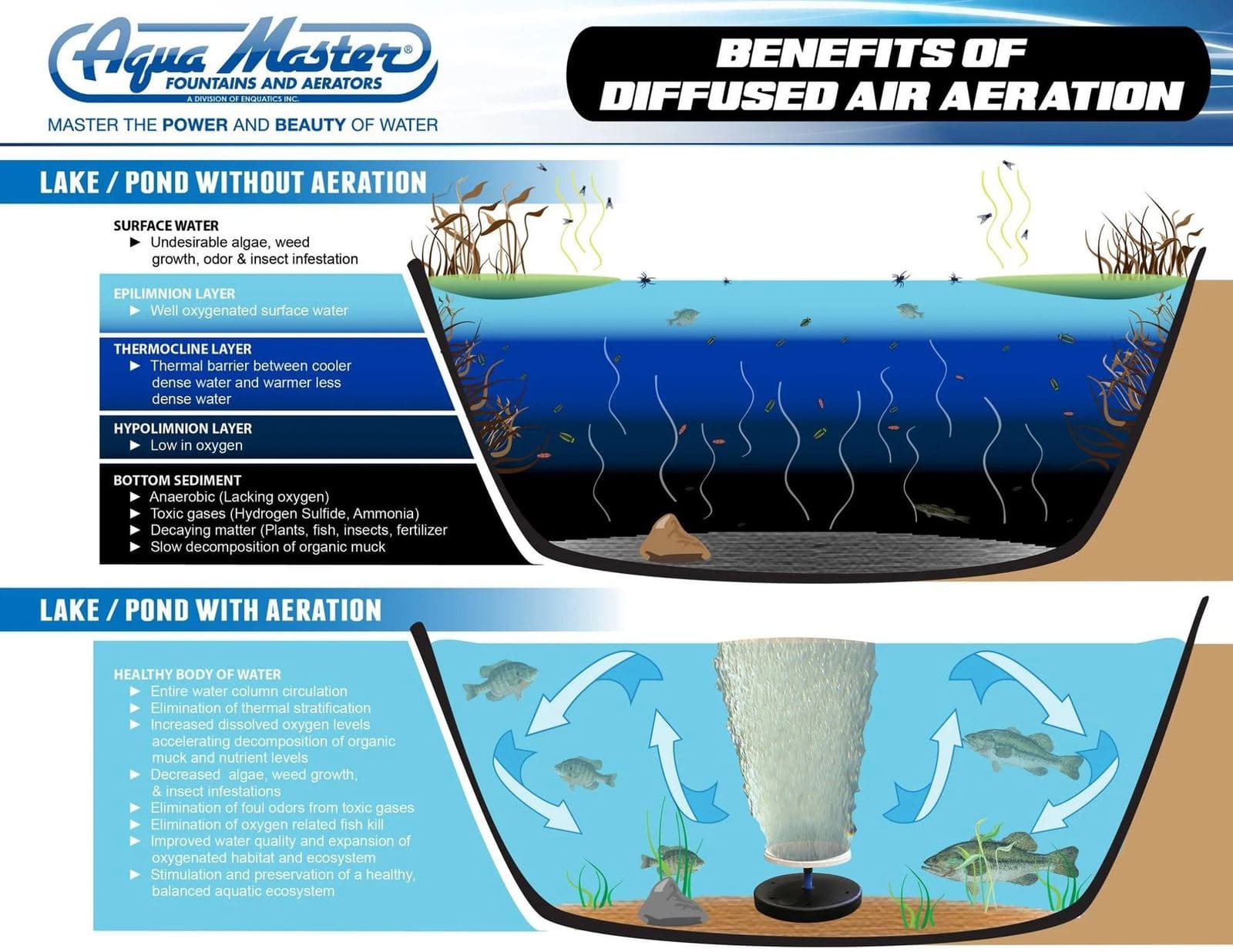 AquaMaster diagram comparing a pond without aeration to one with diffused air